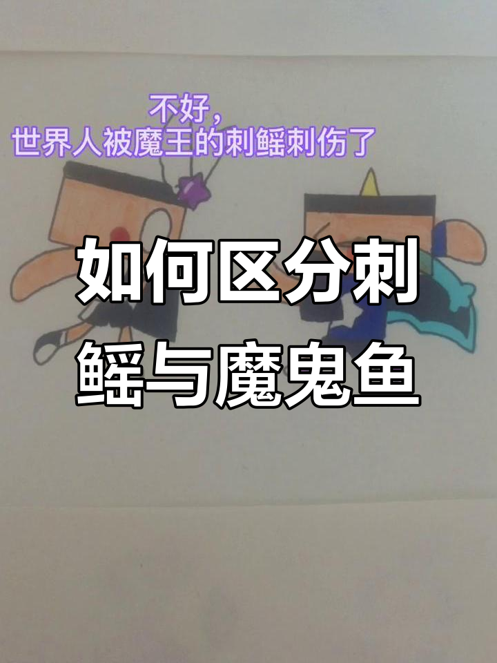 刺鳐和魔鬼鱼的区别，如何分辨它们的毒性和特征