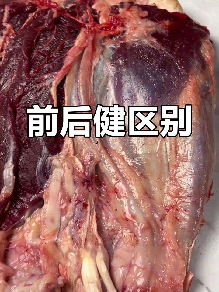 牛前后腱子肉的区别解析