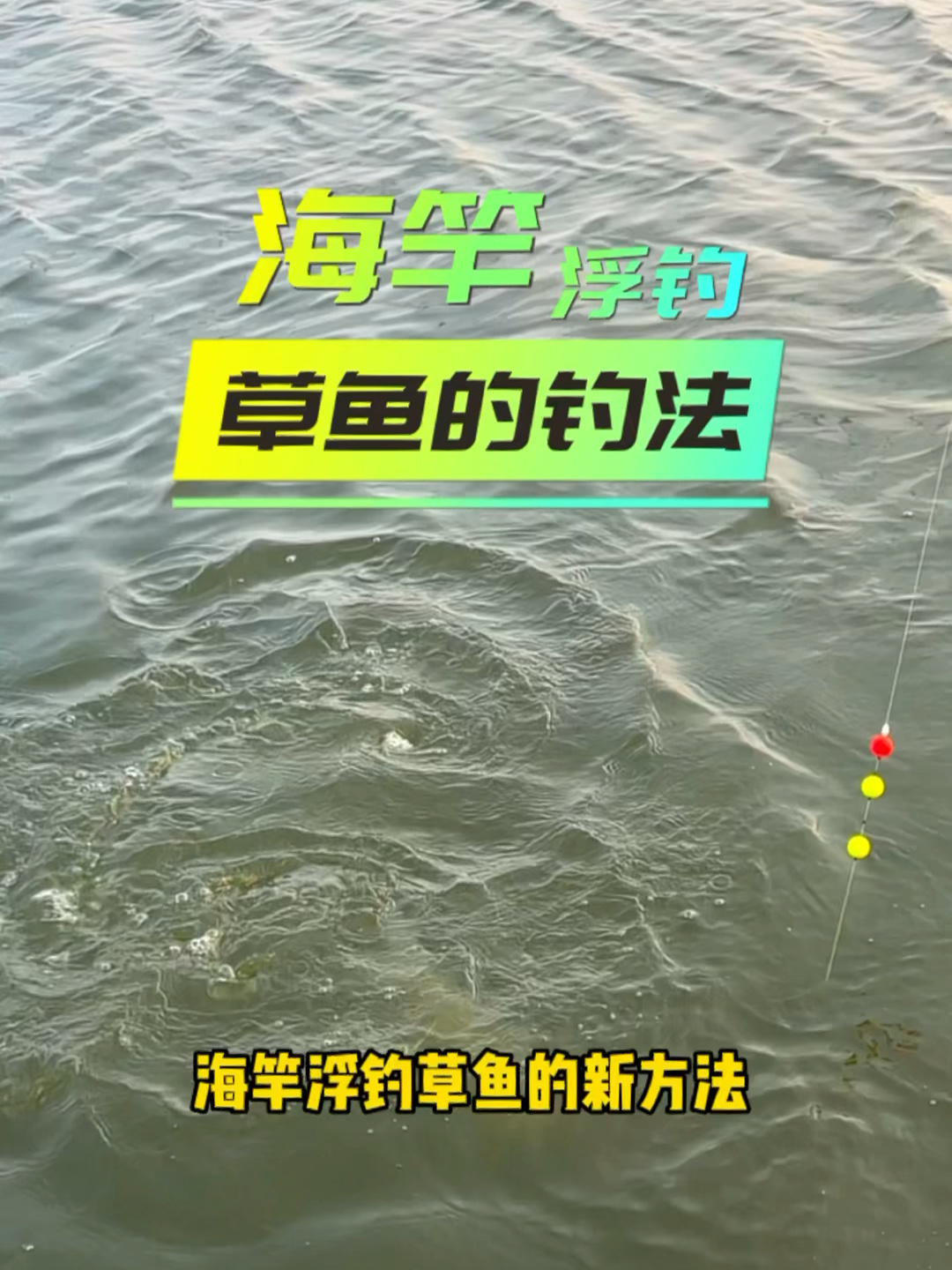 春钓进行时|海竿浮钓草鱼的新方法