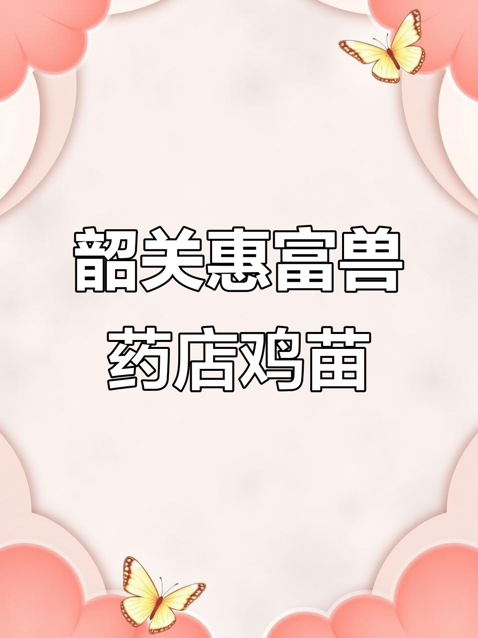广东韶关优质鸡苗选购,灵山土鸡、芦花鸡等品种任你选