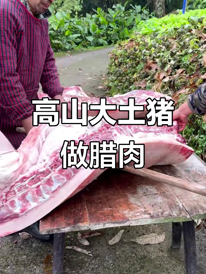 云南高山大土猪腊肉制作全过程,烟熏香气扑鼻!