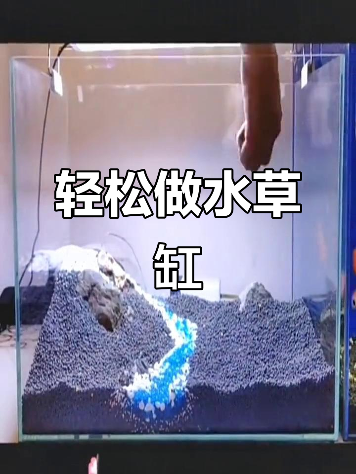 水草缸造景全攻略：从水草泥到发芽，一步步教你打造完美生态鱼缸