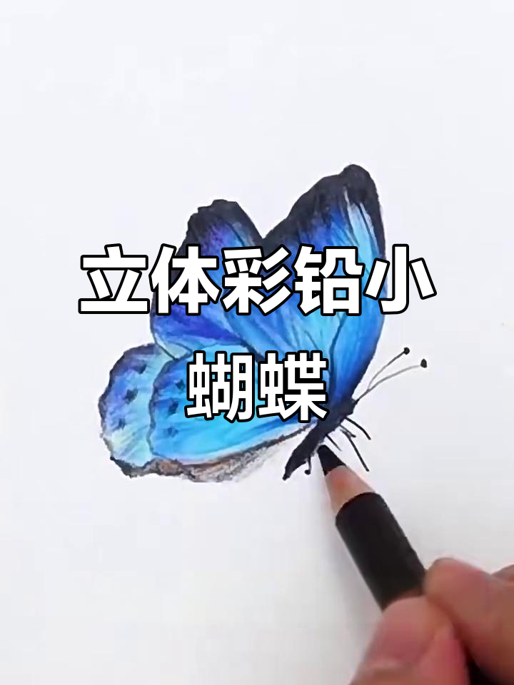 彩铅蝴蝶绘制技巧，轻松打造立体效果