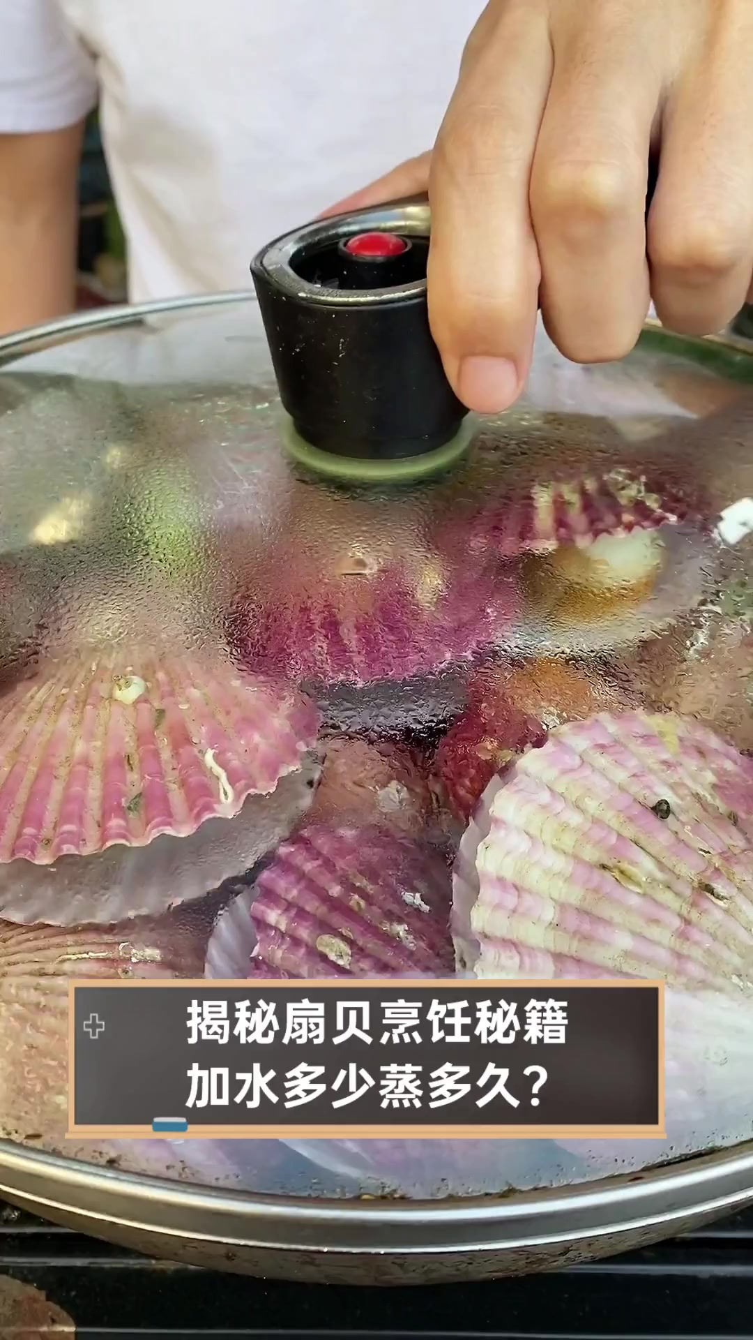 揭秘扇贝烹饪秘籍,加水多少蒸多久?