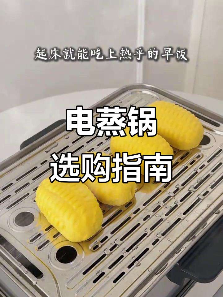 选电蒸锅？不锈钢材质，1178与1188各有优势