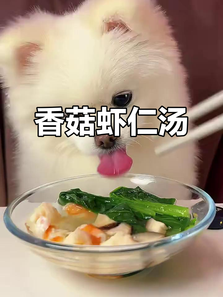 香菇青菜虾仁汤,鲜香四溢让人无法抗拒