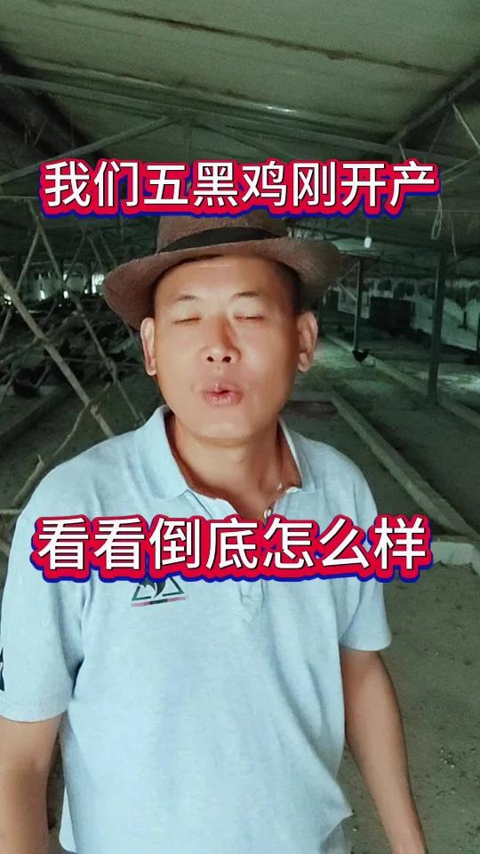 月子鸡五黑鸡蛋