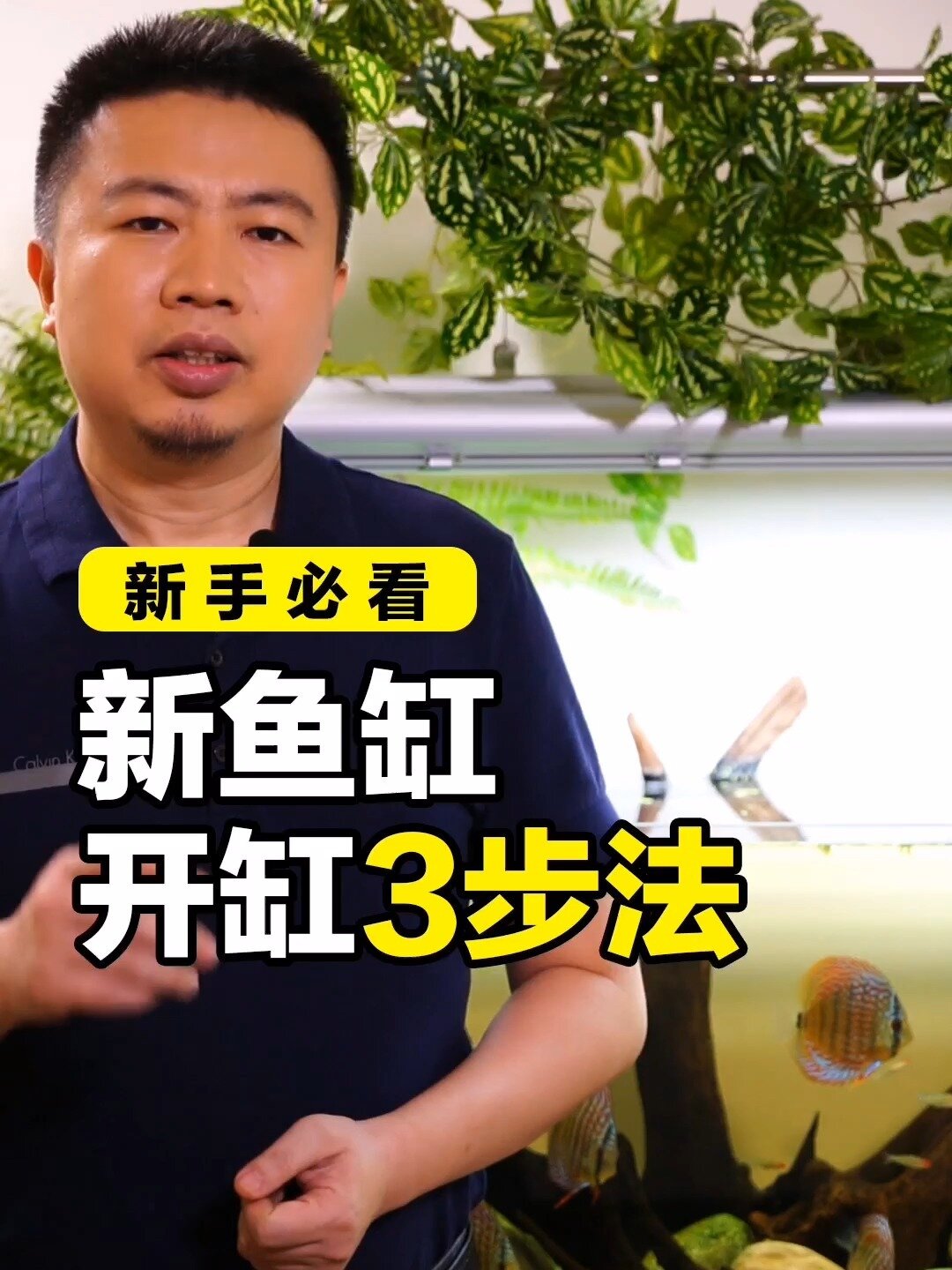 新手养鱼养不活,鱼叔教你正确开缸方法