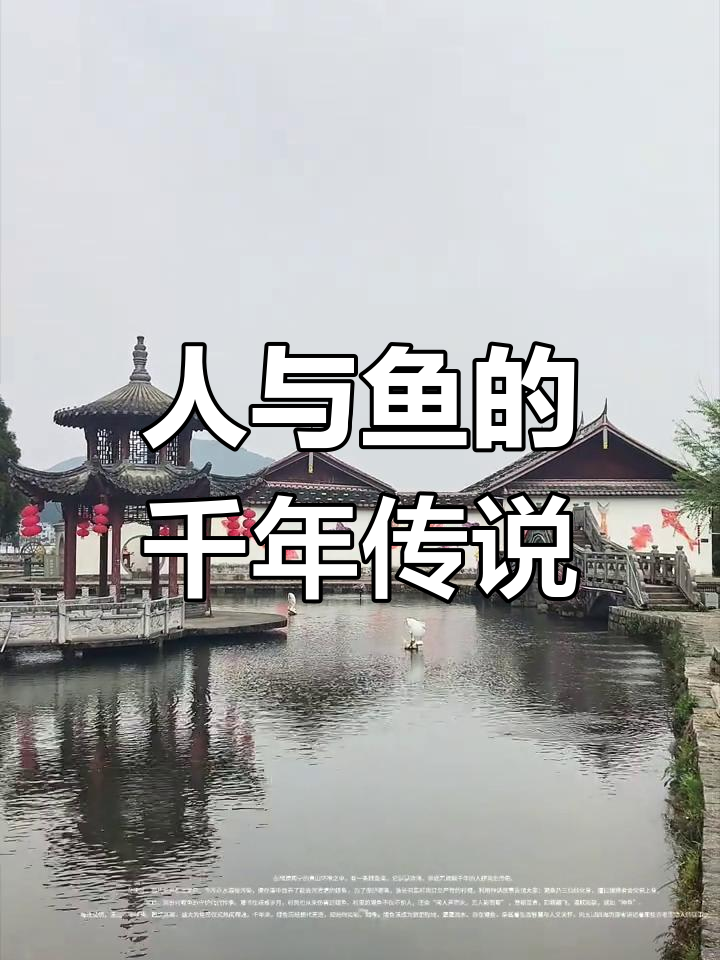 千年鲤鱼溪,见证人与自然和谐共生的传奇