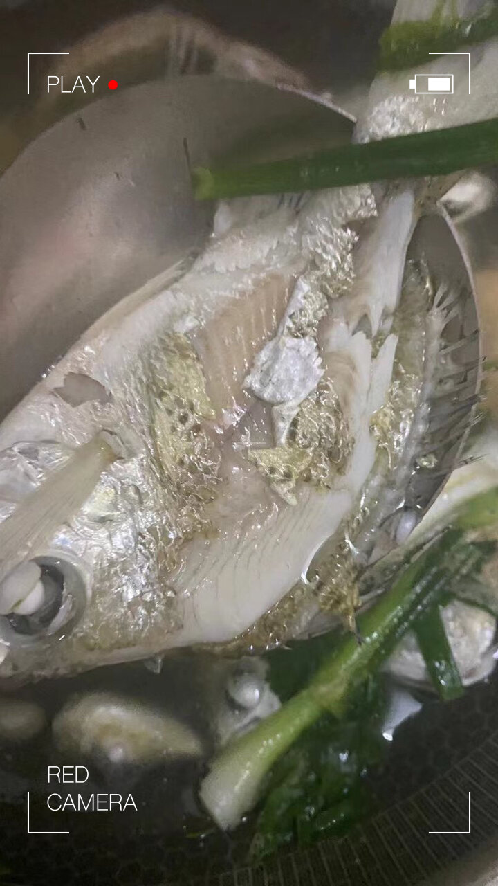 博米鱼煲汤好甜「色」