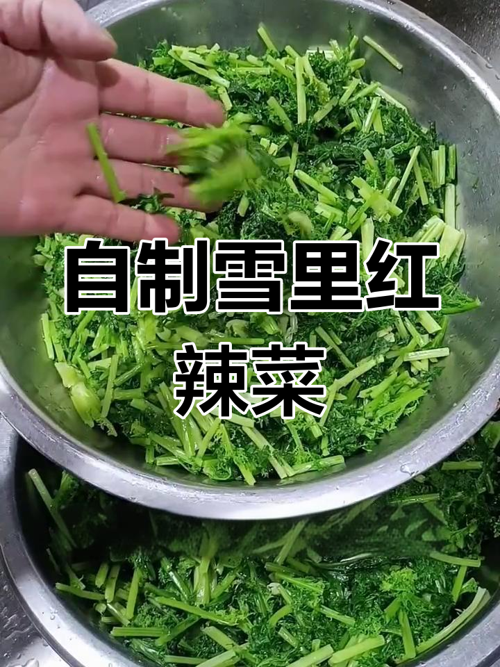雪里红辣菜英子做法,家常味十足