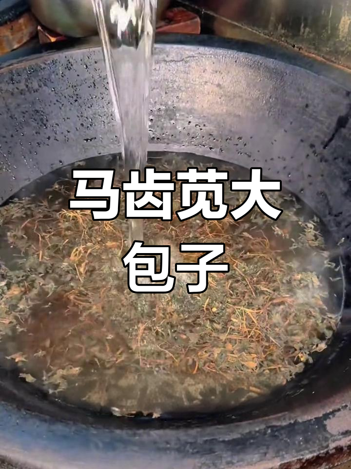 纯手工马齿苋包子,零添加美味