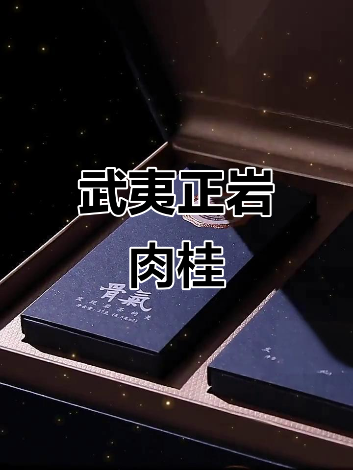 正岩三坑两涧肉桂,特级乌龙茶礼盒装