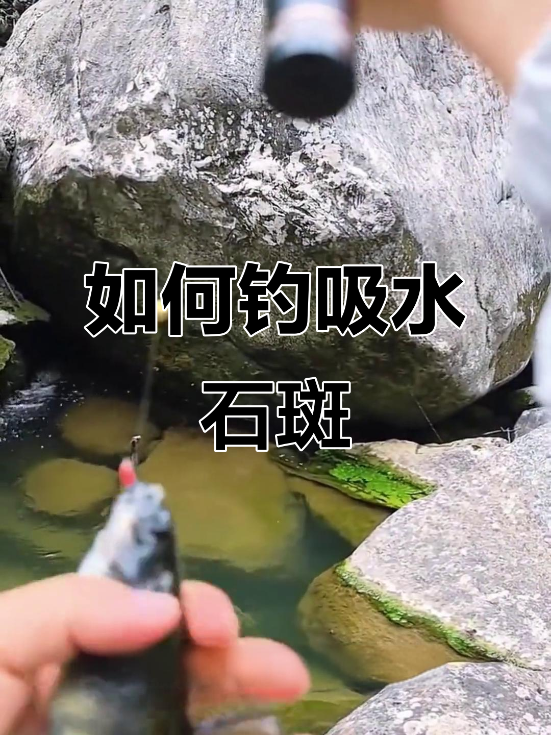 溪石斑钓法全揭秘，掌握这四点轻松爆护