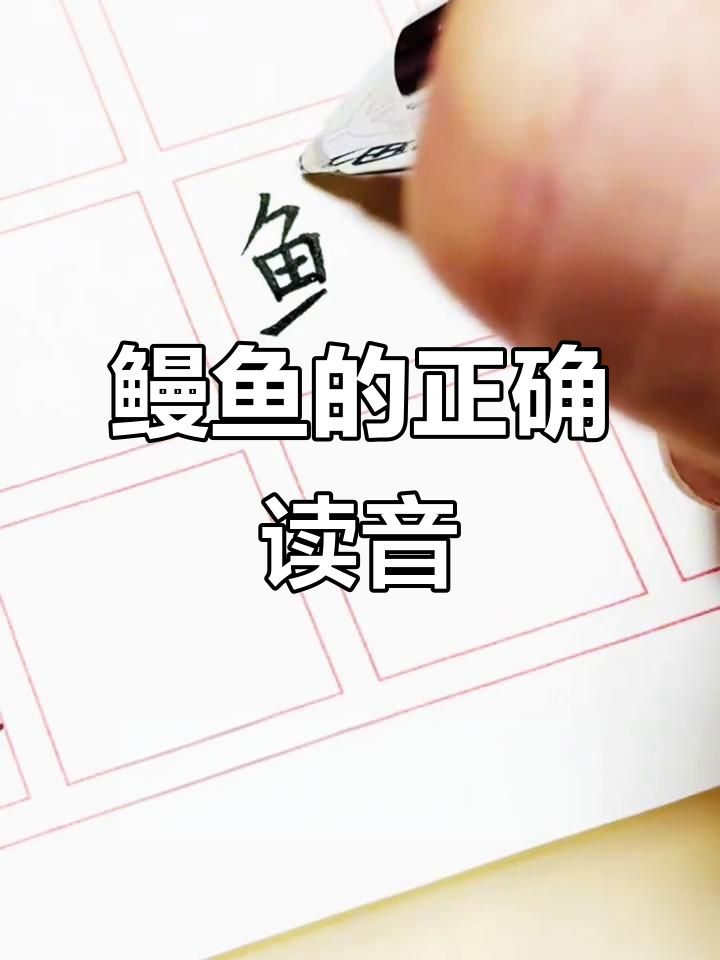 吃了这么多年鳗鱼饭,原来“鳗”字一直读错了!