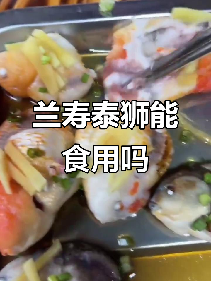 观赏鱼能吃吗?死掉的兰寿泰狮金鱼到底能不能烤来吃
