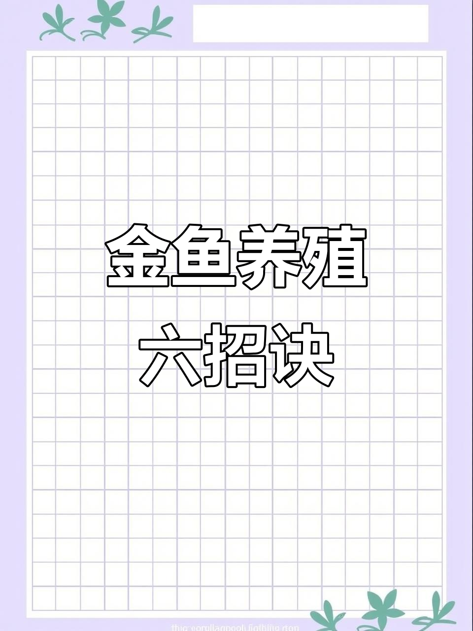 新买金鱼为何养不久？六大秘诀教你如何让它们健康长寿