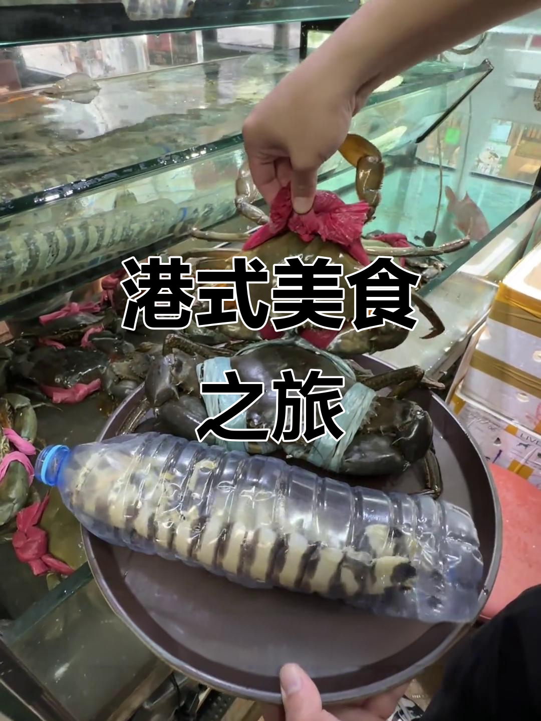香港本地人推荐,避风塘炒蟹超值美味!