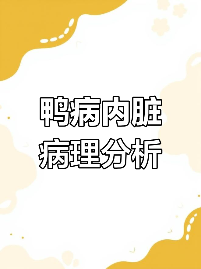 鸭病内脏病变图,各种疾病一览无余