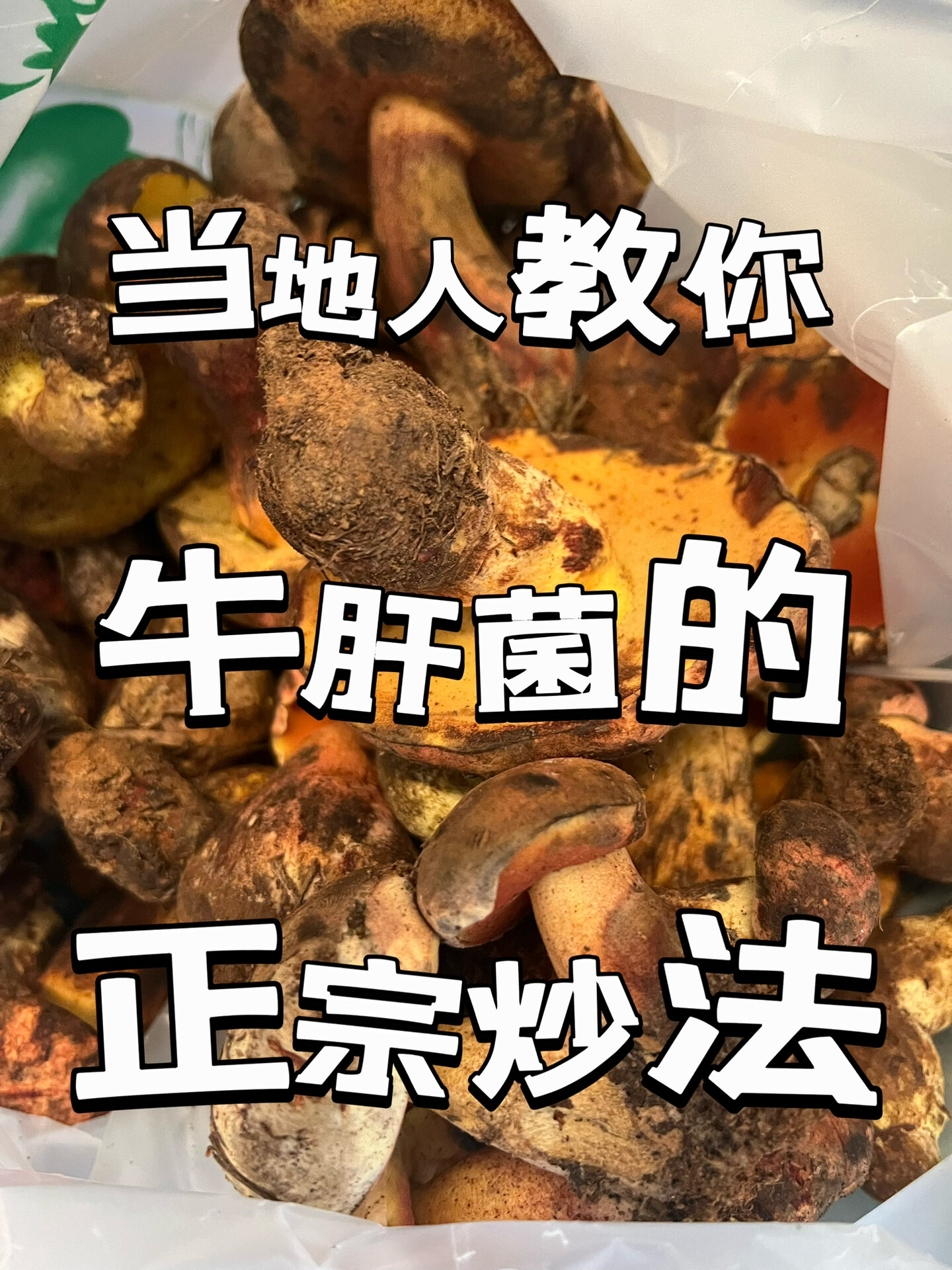 地道牛肝菌炒法来了,这么做美味又放心