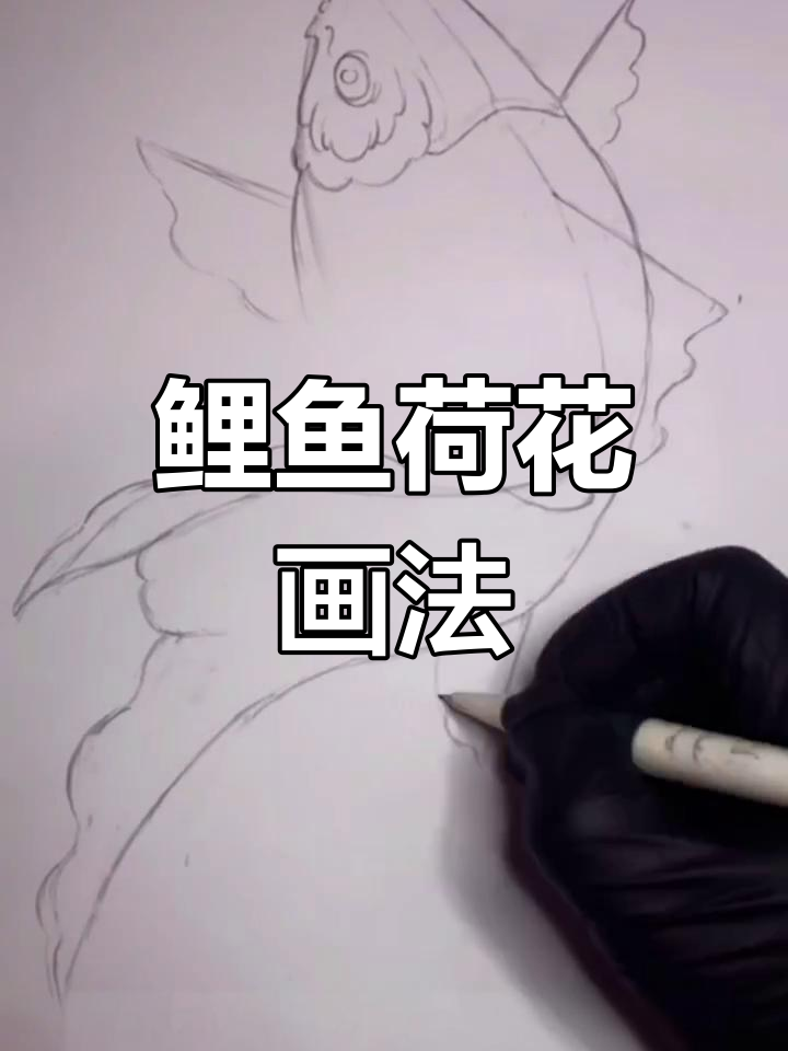 鲤鱼与荷花绘画技巧大揭秘,轻松画出美丽画面