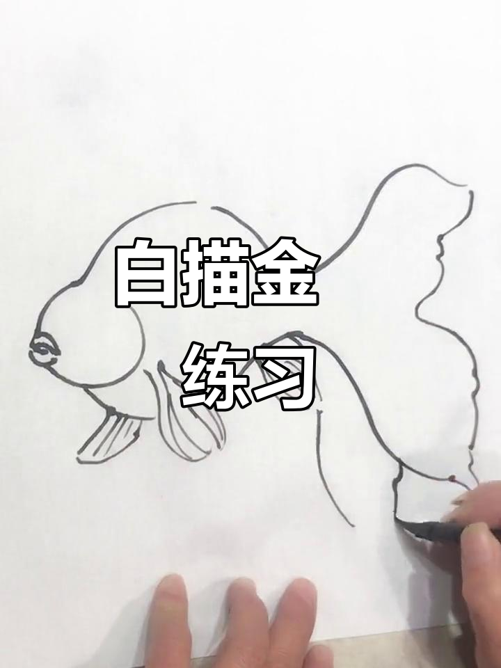 零基础学国画白描,金鱼练习入门技巧