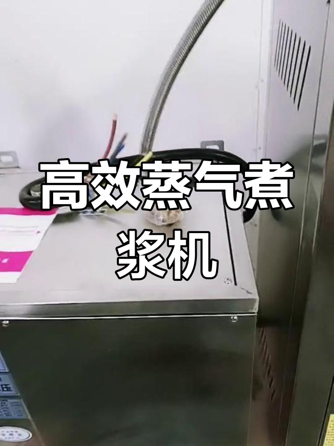 蒸汽锅炉煮浆机:高效节能,提升产量