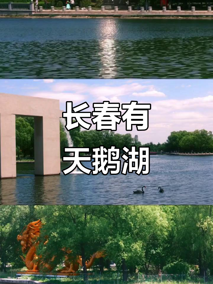 长春天鹅湖,城市中的自然美景