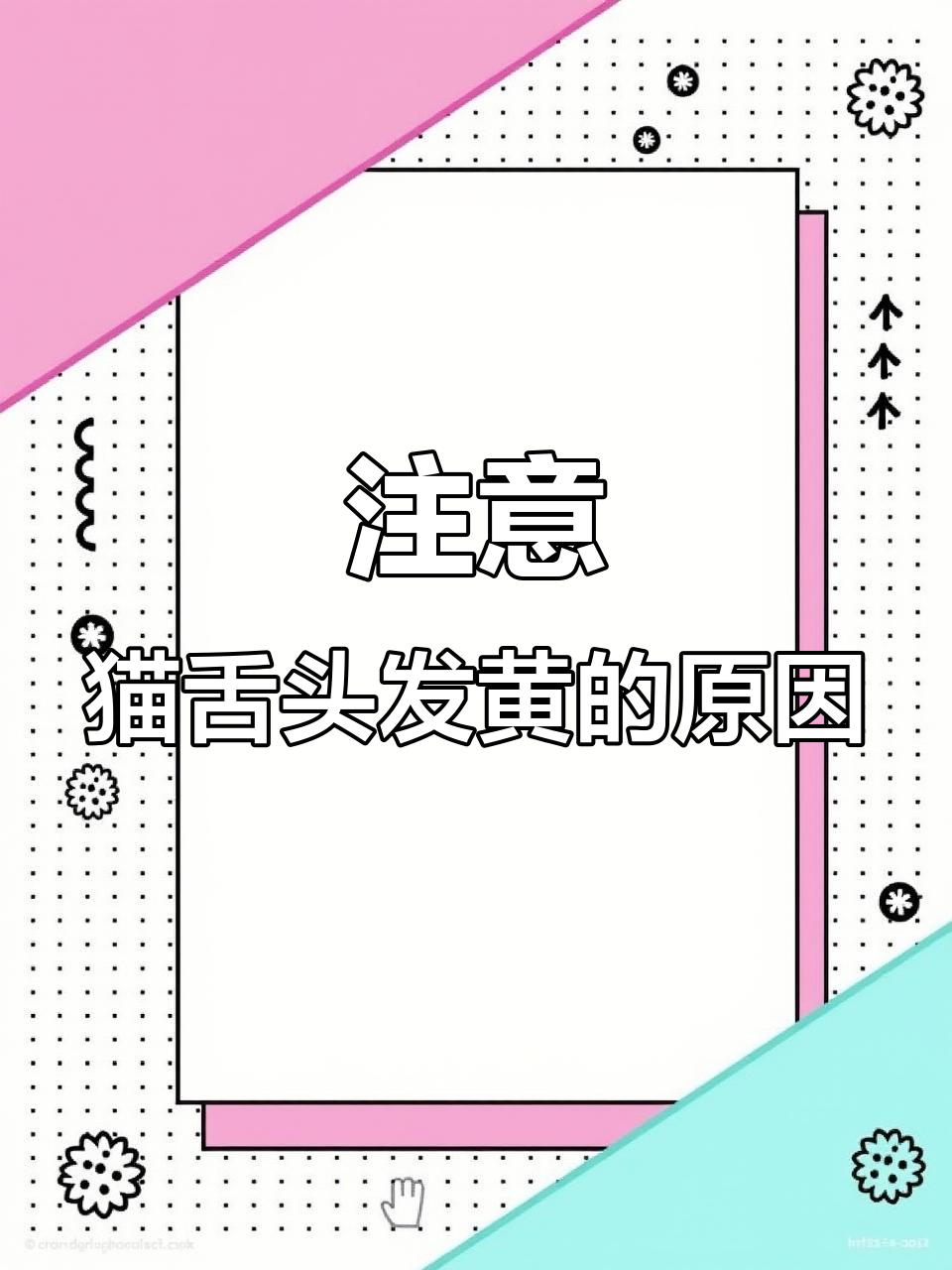 猫咪舌头发黄?可能是这些原因,别忽视!