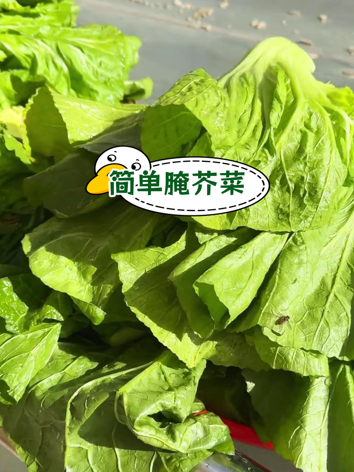 自制芥菜咸菜的腌制方法