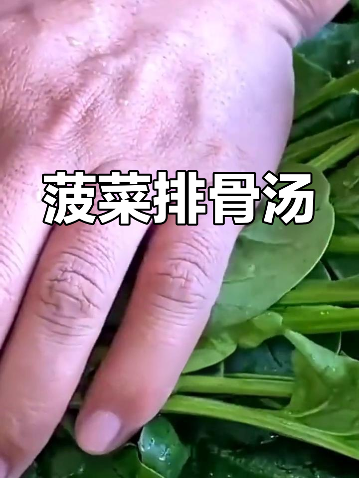 菠菜排骨汤,营养又美味,简单步骤教你做
