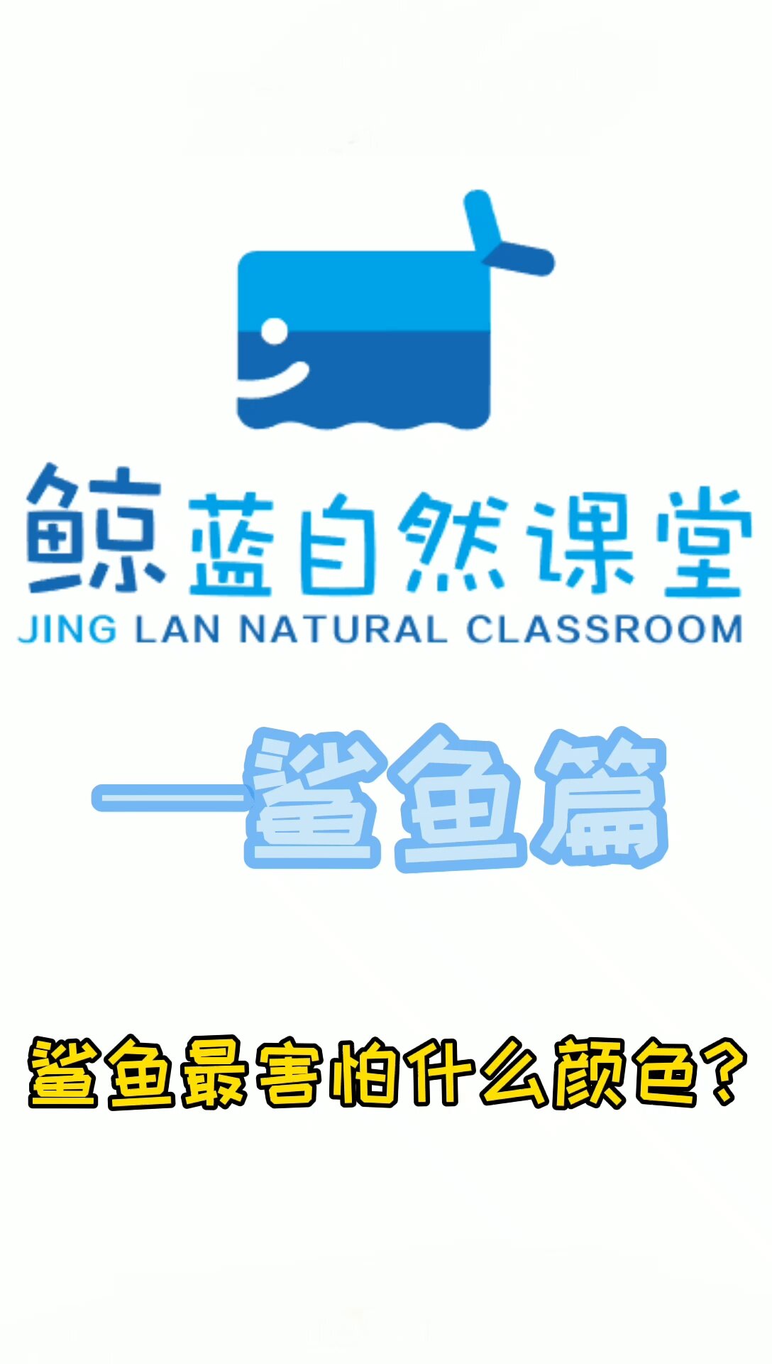 鲨鱼最害怕什么颜色?