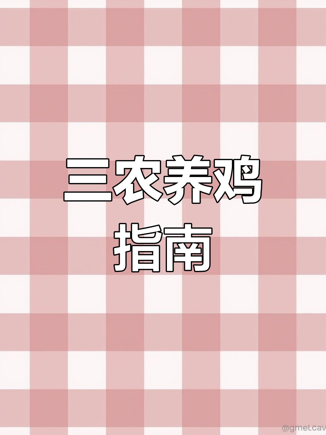 肉鸡养殖全攻略,助力三农发展