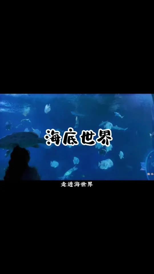 冬季能否在太平洋海底世界邂逅夏日的浪漫?