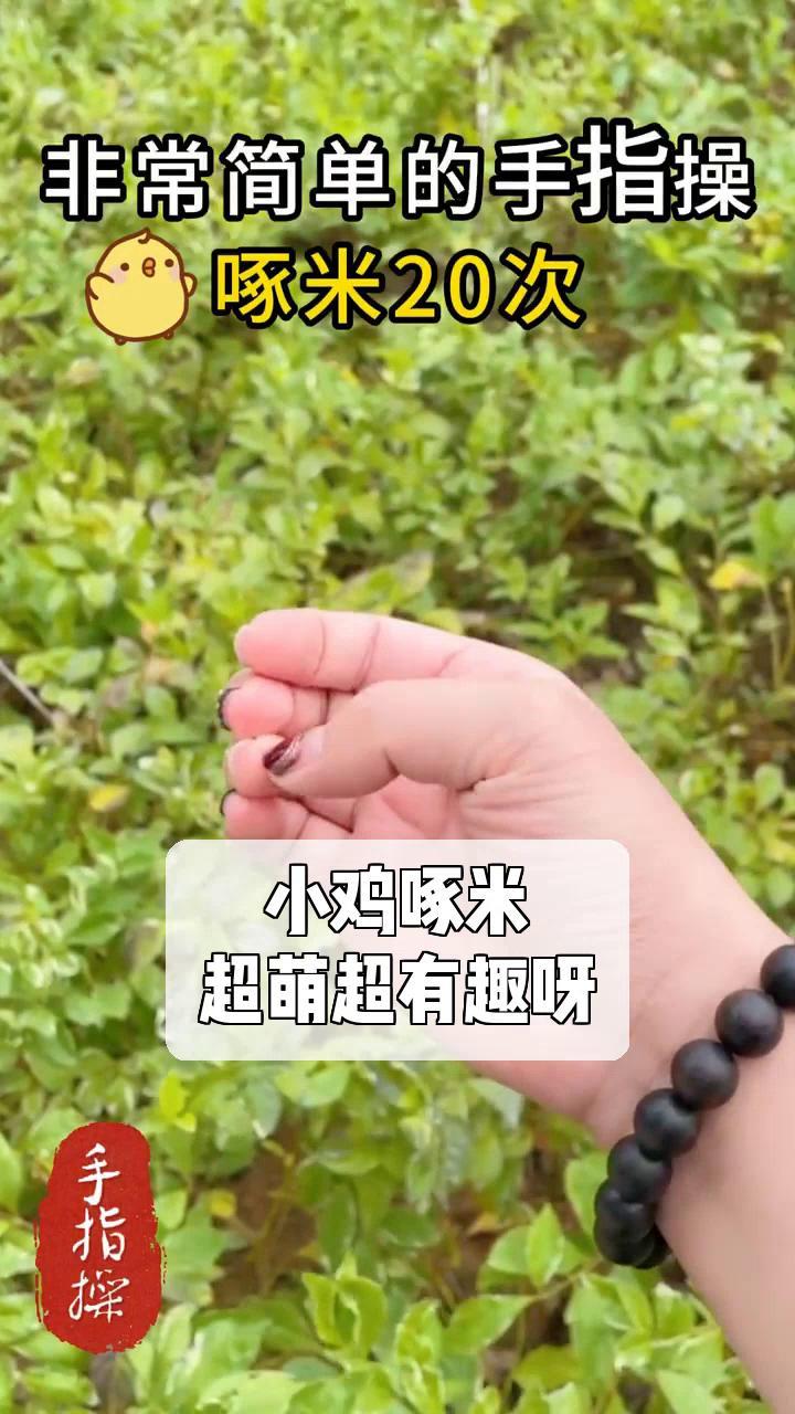 小鸡啄米,超萌超有趣呀