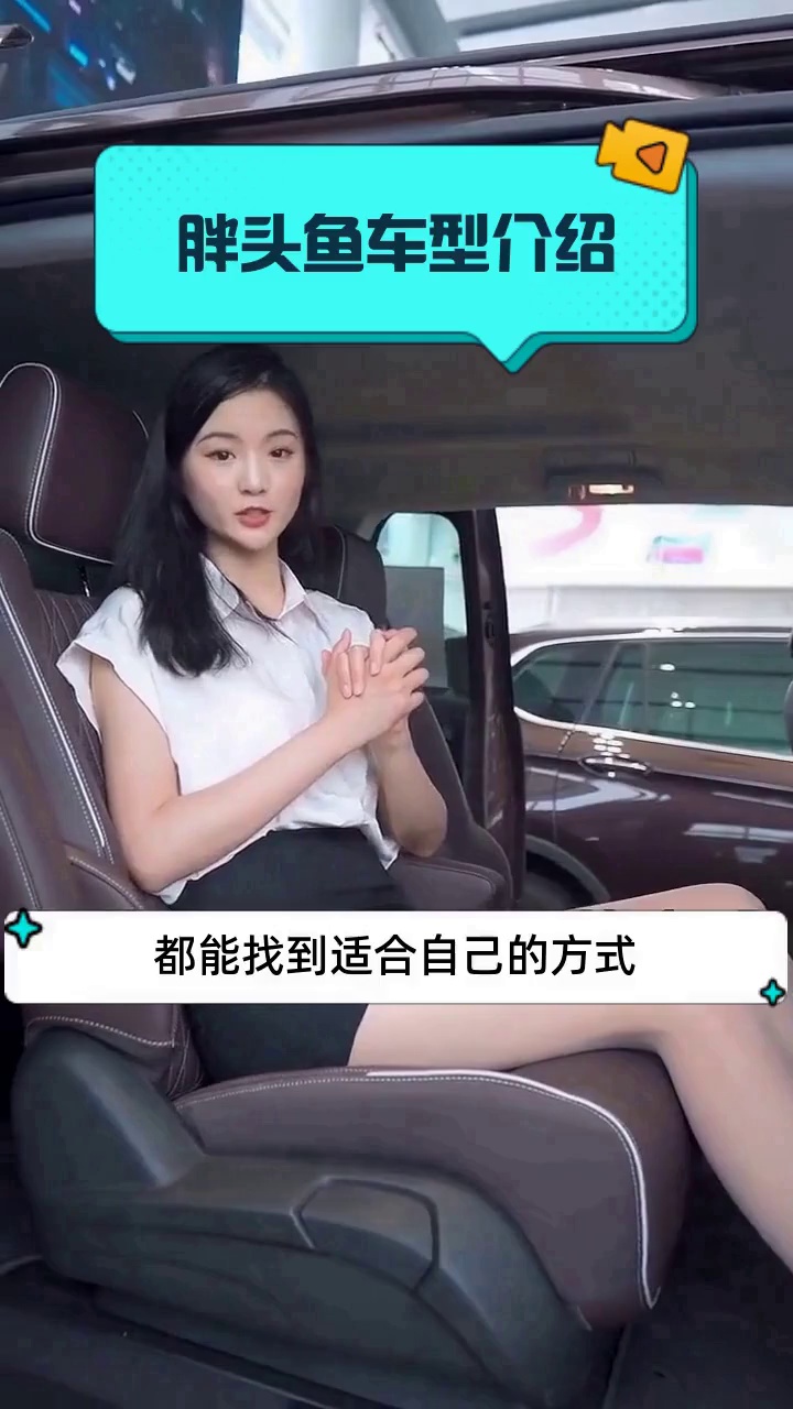 胖头鱼车型介绍