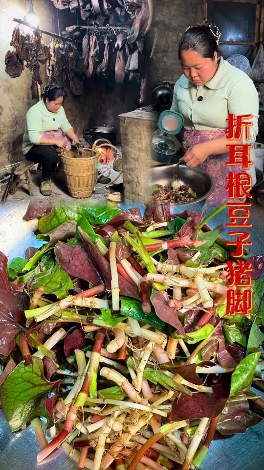 云南折耳根凉拌,白豆炖猪脚 在农村这个季节的折耳根是必不可少的,搭配上一顿腊味吃出满满儿时