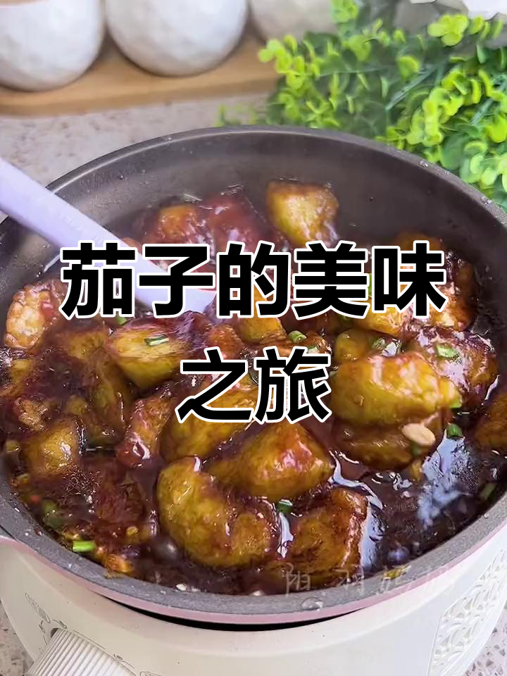 花2元做红烧茄子盖饭,简单又满足!