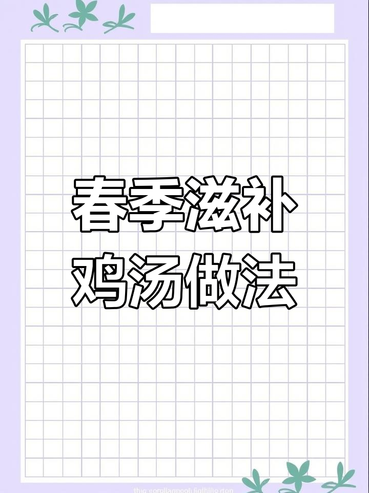 春天鸡汤这样炖,羊肚菌加持汤鲜味美不腻