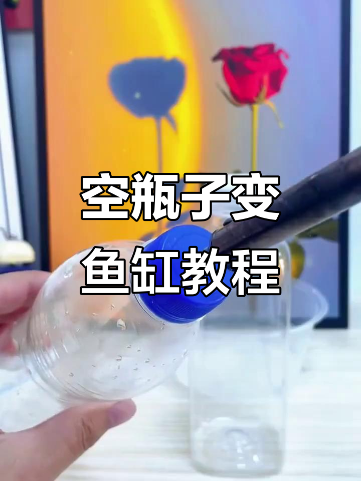 废旧塑料瓶变身小鱼缸,简单几步教你DIY循环水设计