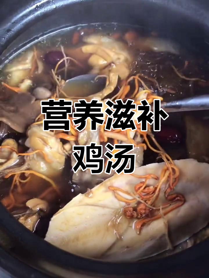散养土鸡炖鱿鱼母,滋补汤中加入天麻、虫草花等多种药材