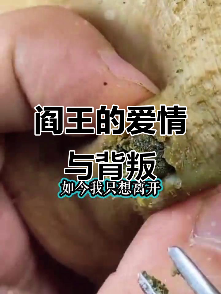 阎王爱上青梅竹马,亲手杀我孩子后彻底变心