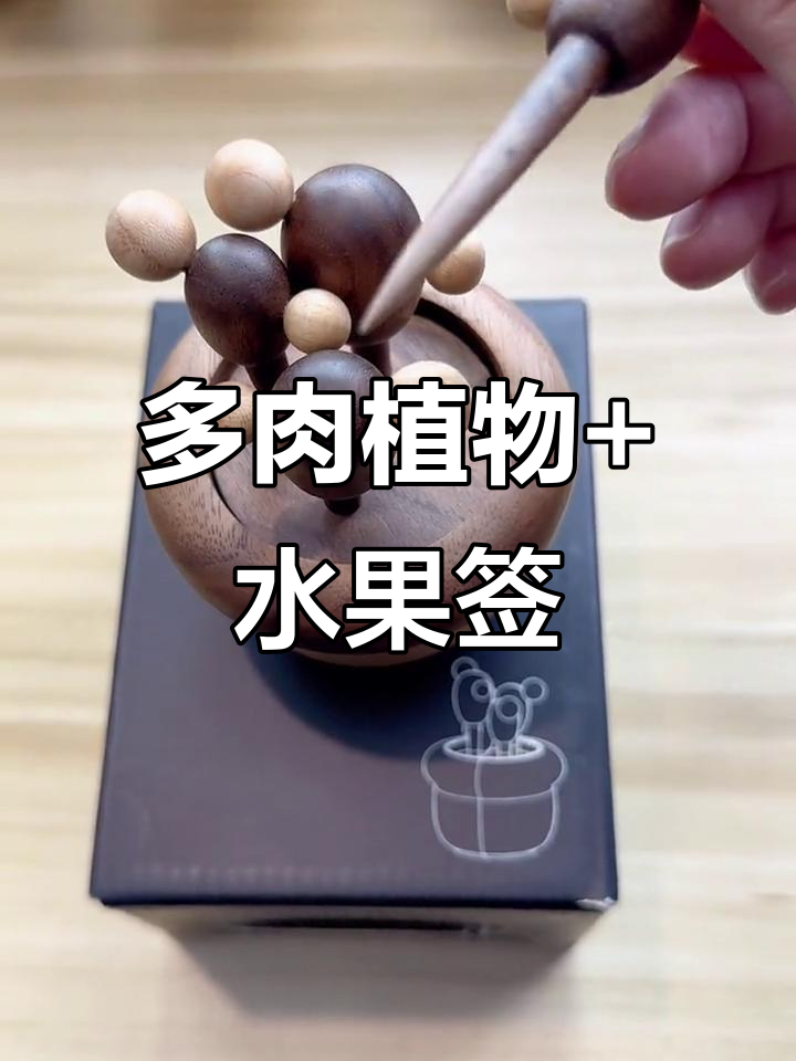 客厅必备!多肉盆栽与水果签,打造精致家居生活