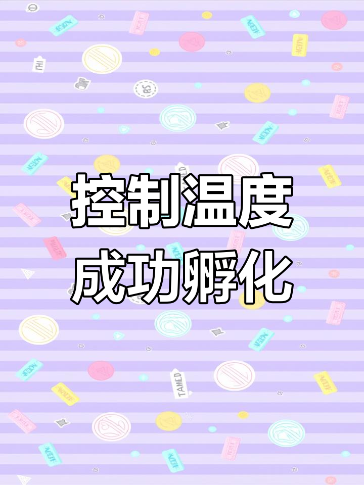 人工孵化鹅蛋要点解析
