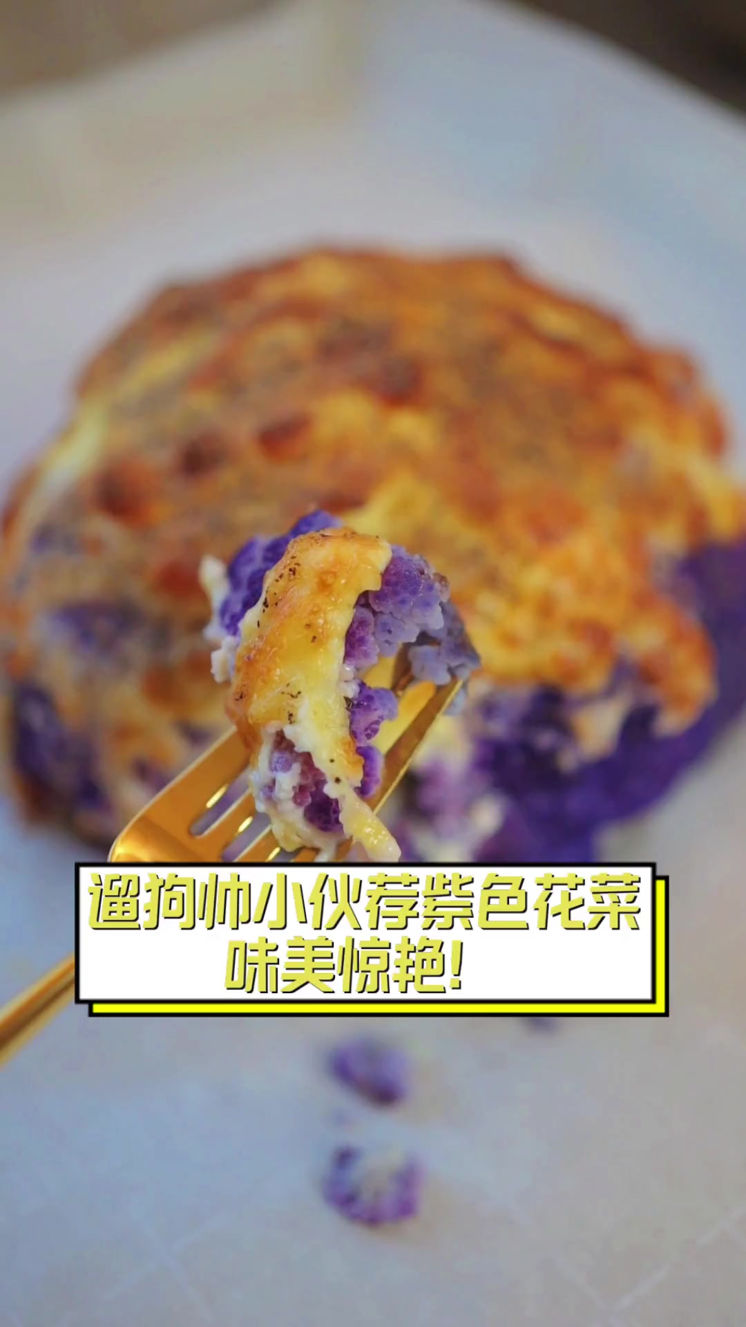 遛狗帅小伙荐紫色花菜,味美惊艳!