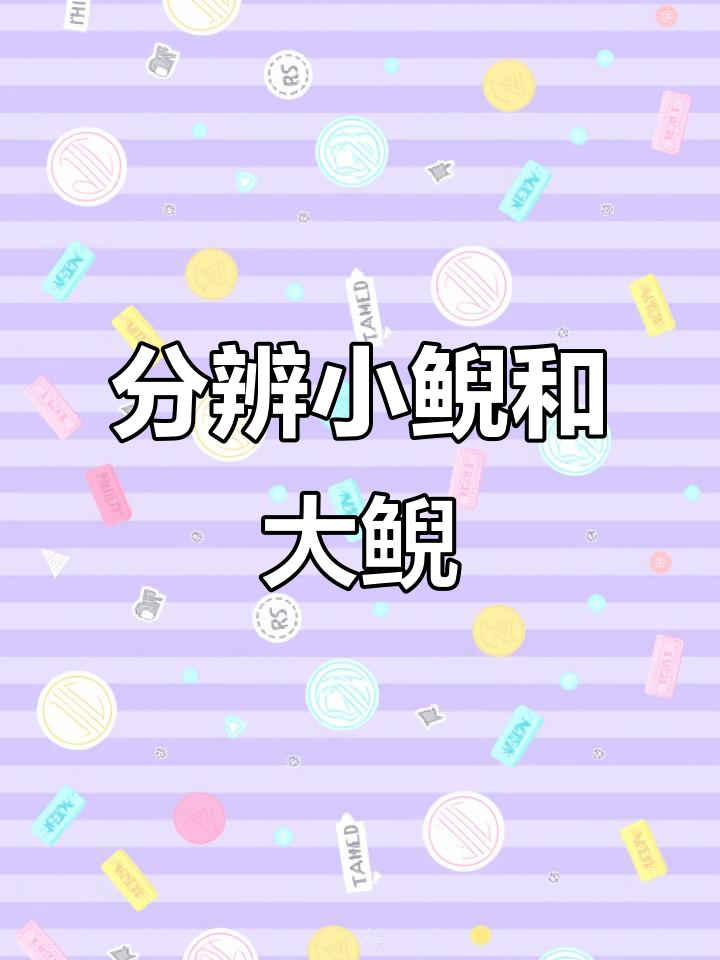 小鲵、蝾螈与大鲵如何区分?这些特征帮你轻松辨别