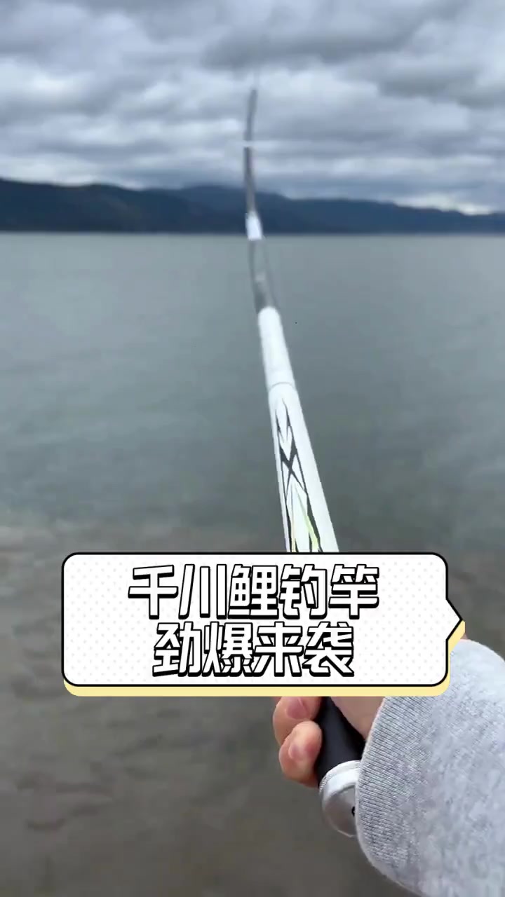 千川鲤钓竿劲爆来袭