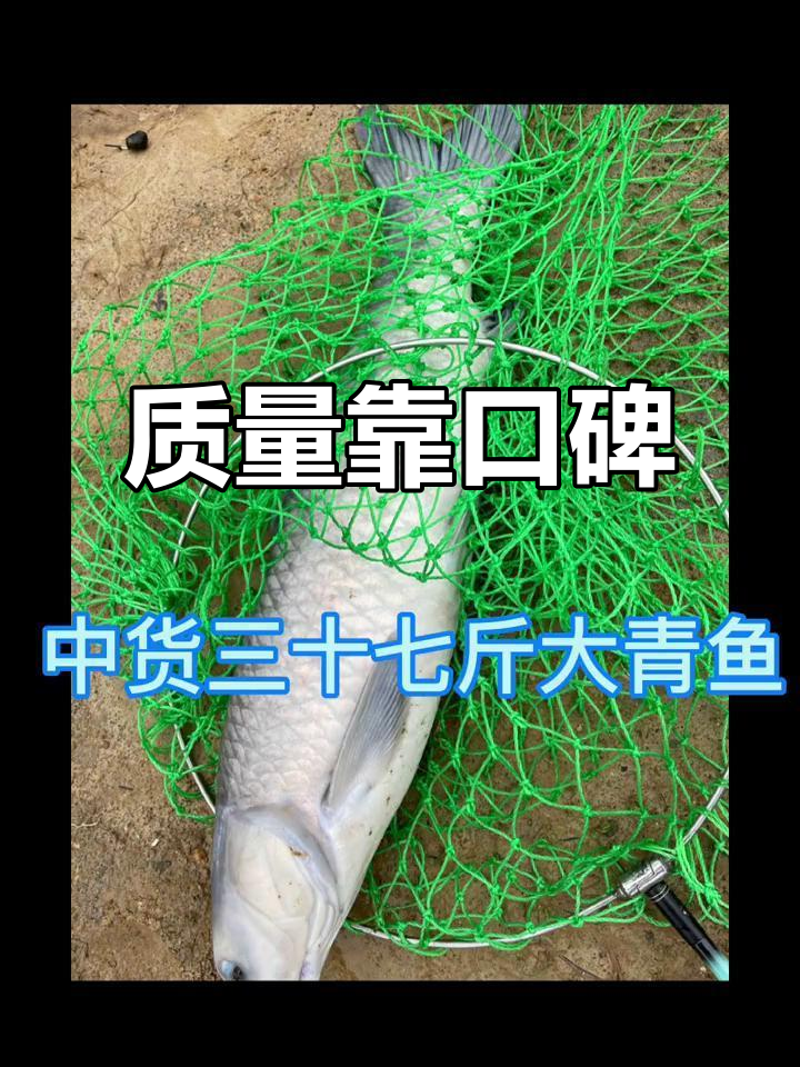 鱼竿质量如何?客户反馈告诉你答案,轻松钓获大青鱼