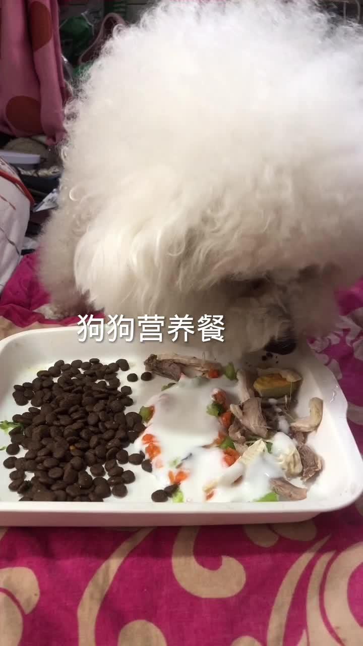 狗狗的营养餐，只有狗粮是不够的，加入应季蔬菜黄瓜胡萝卜鸡脯肉鸭腿酸奶蛋黄，才能更健康的陪伴