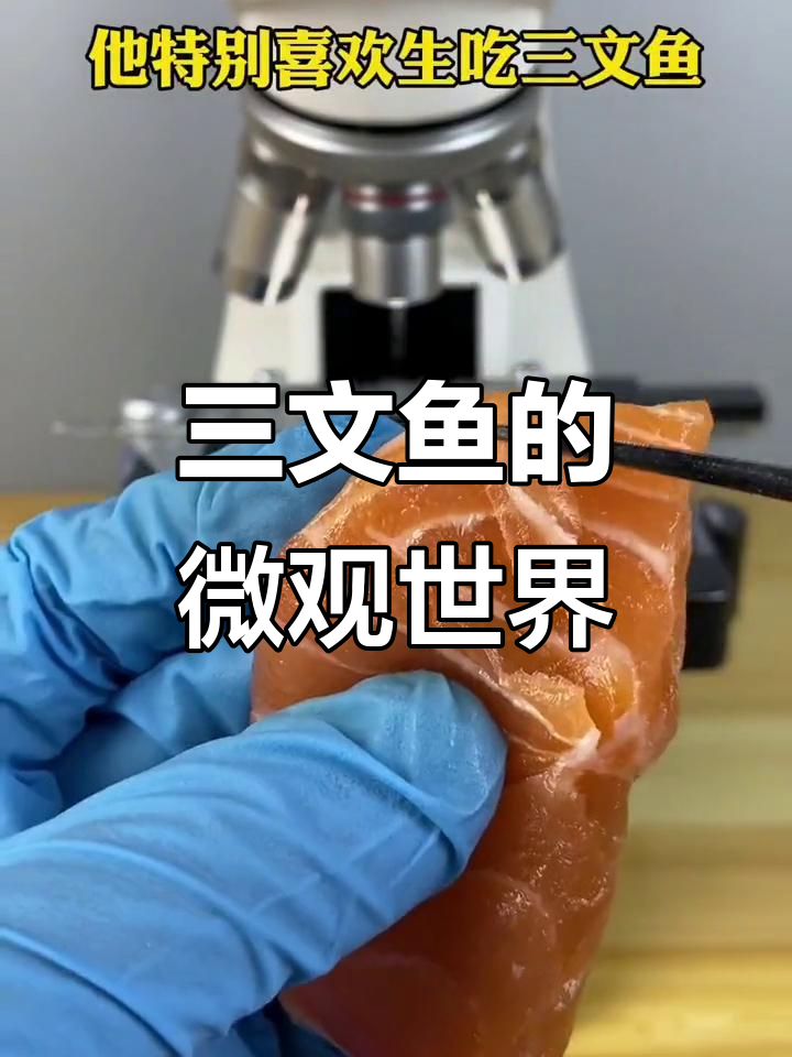 三文鱼显微镜下放大600倍，细胞结构清晰可见